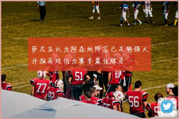 萨尼亚认为阿森纳阵容已足够强大并推荐廷伯为赛季最佳球员