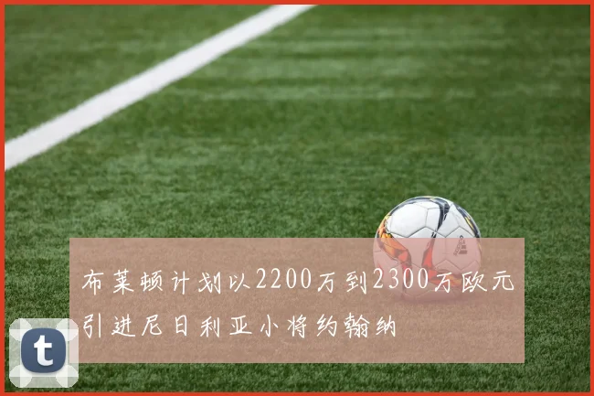布莱顿计划以2200万到2300万欧元引进尼日利亚小将约翰纳